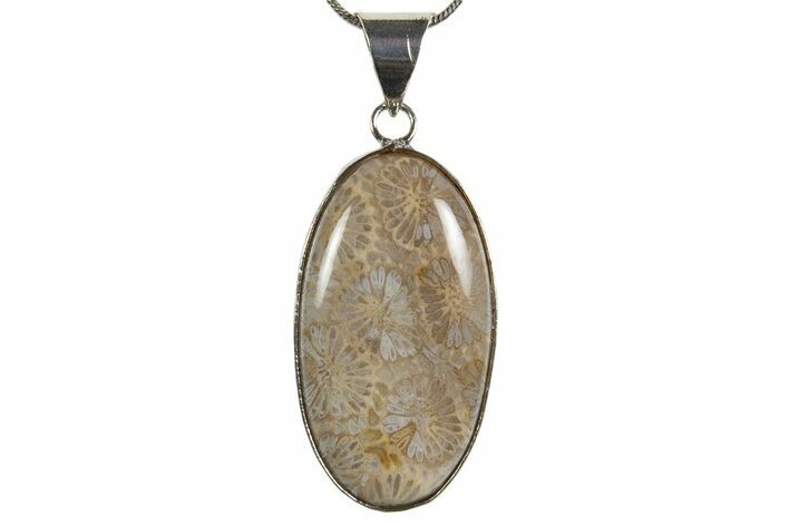 Polished Indonesian Fossil Coral Pendant (Necklace) #345299